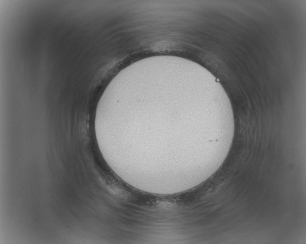 X0000067530592200604211846