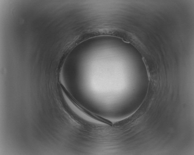 X0000067530593200604211846