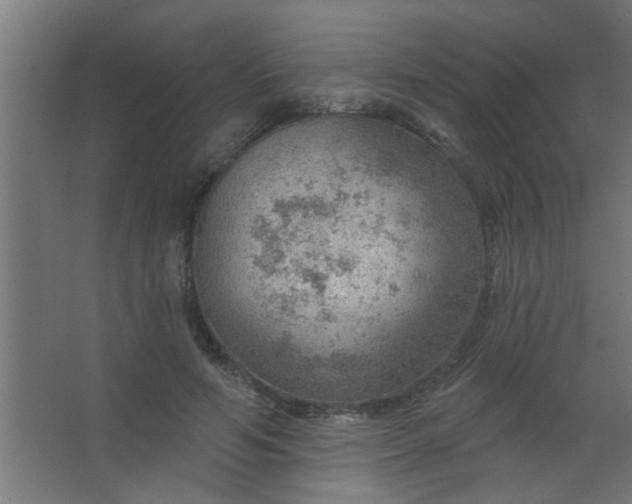 X0000067530594200604211846