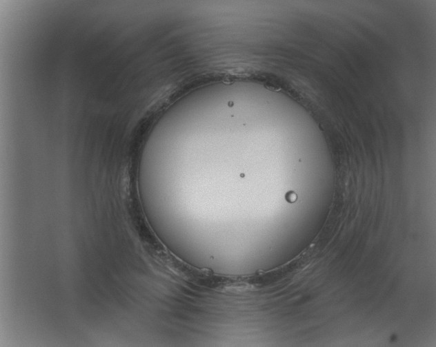 X0000067530595200604211845