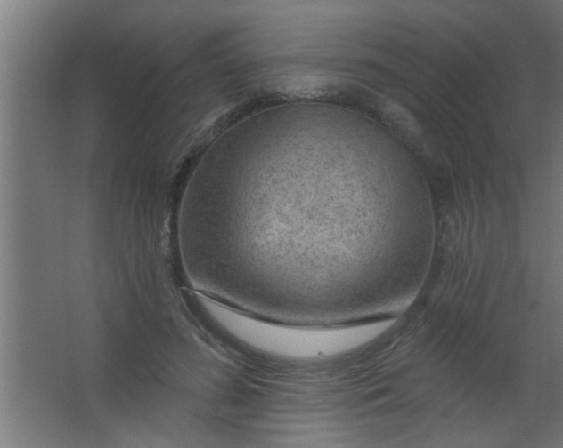 X0000067530596200604211845