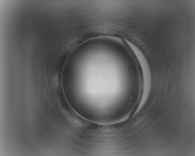 X0000067530597200604211845