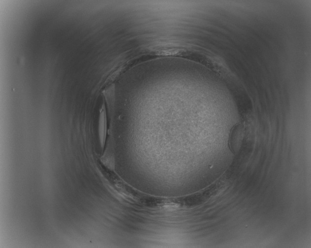 X0000067530598200604211845