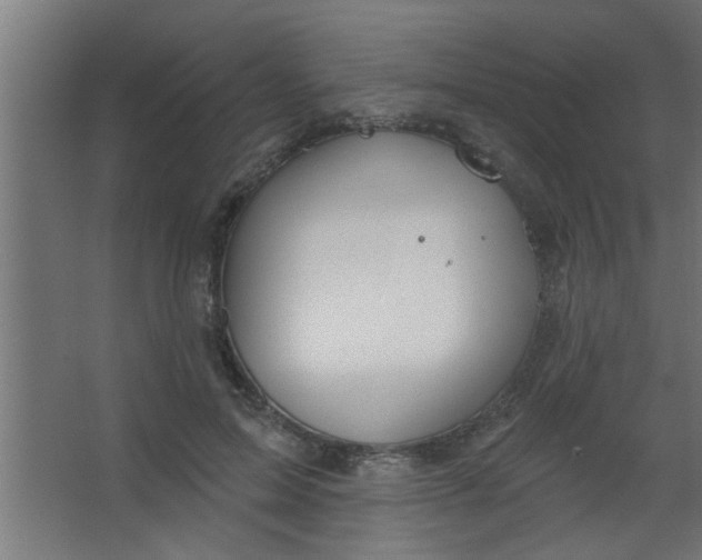 X0000067530599200604211845