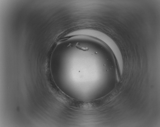 X0000067530600200604211845