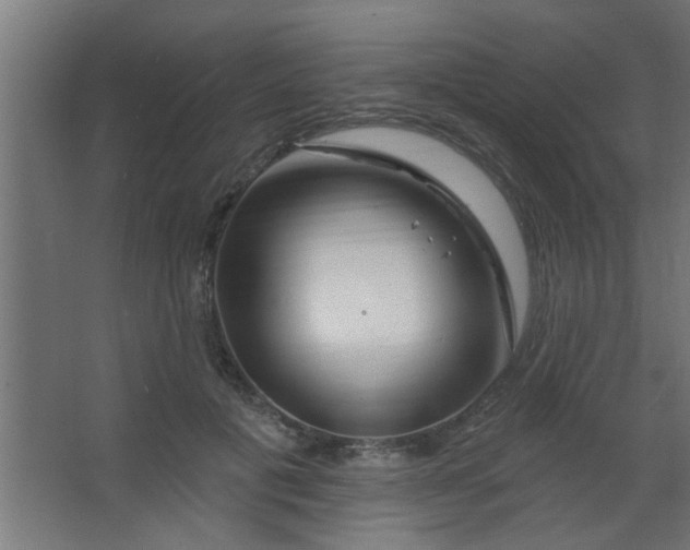 X0000067530601200604211845