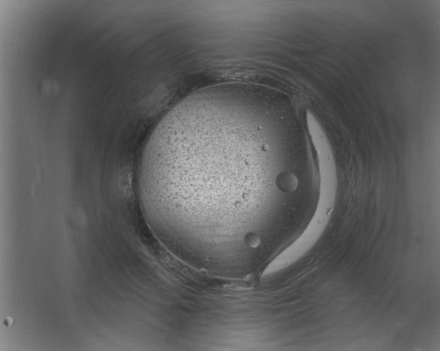 X0000067530602200604211845