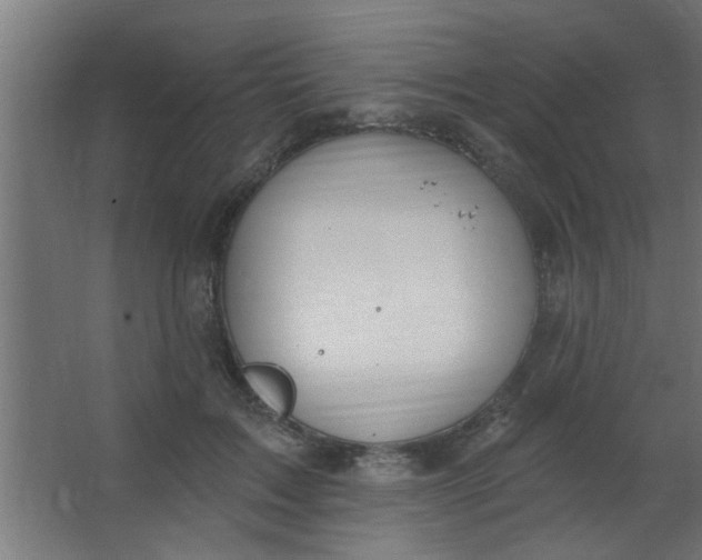 X0000067530603200604211845