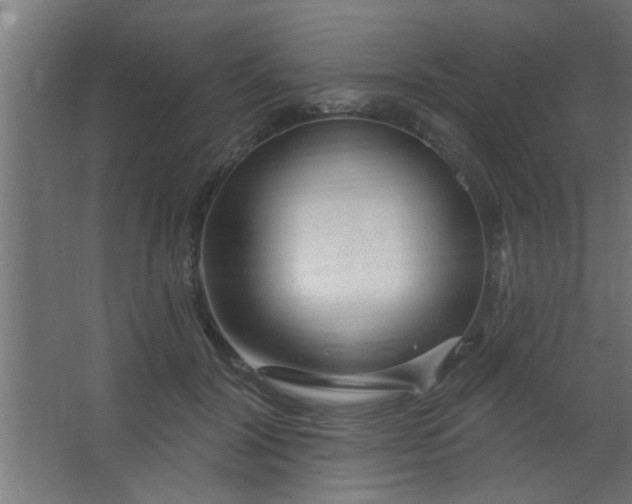 X0000067530604200604211845