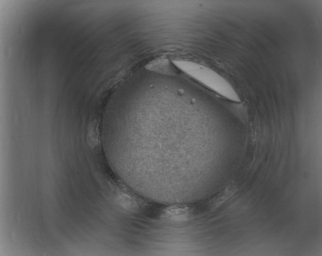 X0000067530606200604211845