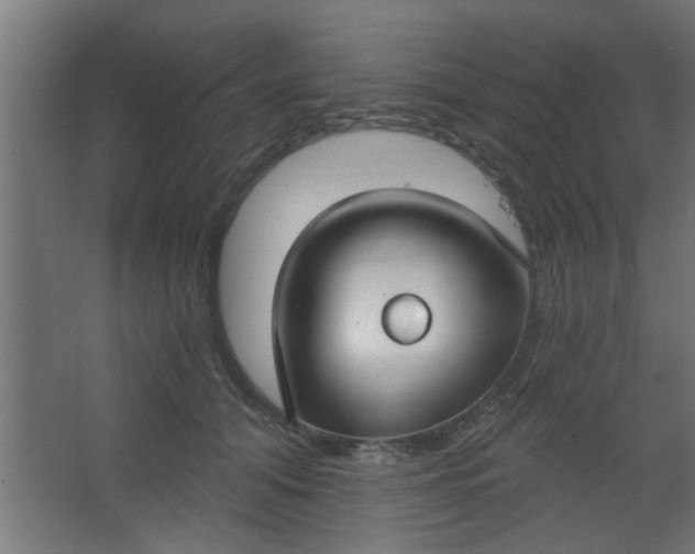 X0000067530608200604211845