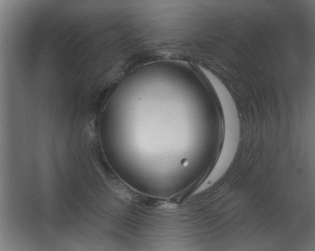 X0000067530611200604211845