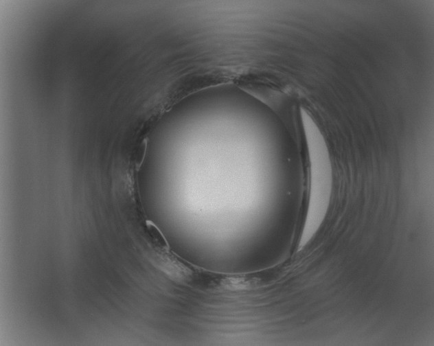 X0000067530613200604211845