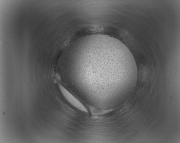 X0000067530614200604211845