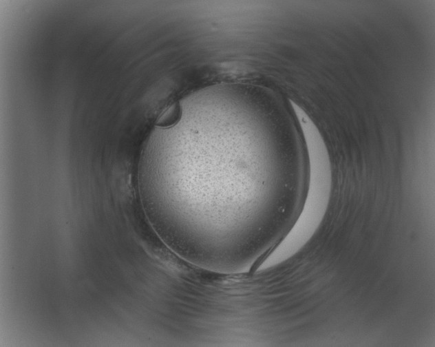 X0000067530615200604211845