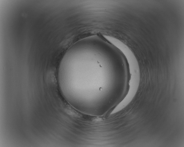 X0000067530616200604211845