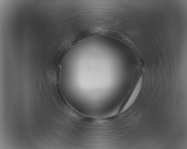 X0000067530617200604211845