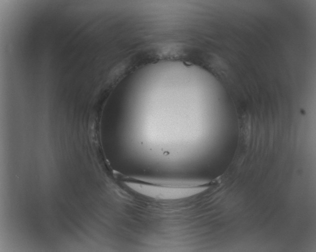 X0000067530619200604211845