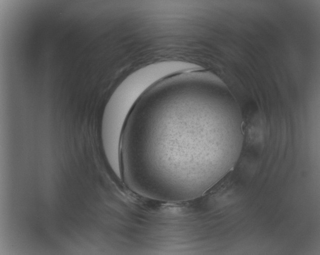 X0000067530620200604211845