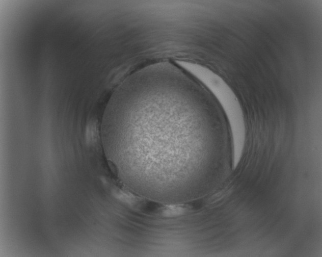 X0000067530623200604211845