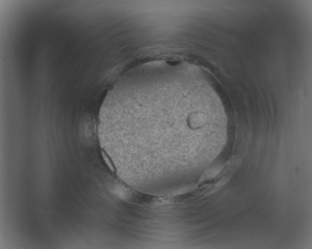 X0000067530624200604211845