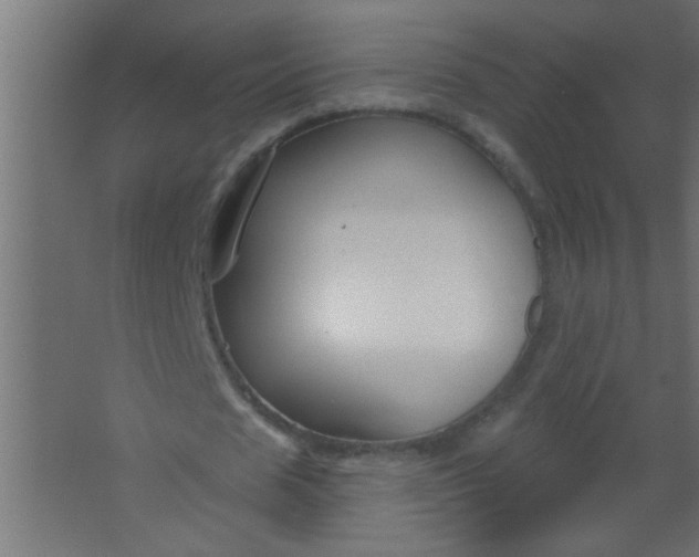 X0000067530625200604211844