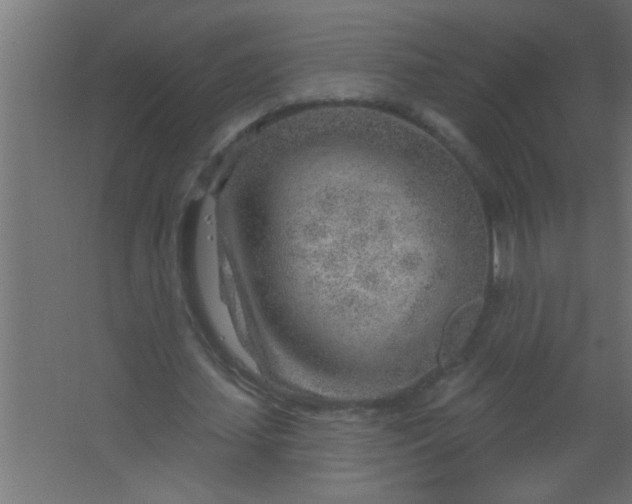 X0000067530627200604211844