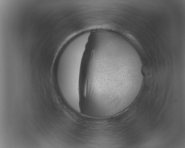 X0000067530628200604211844