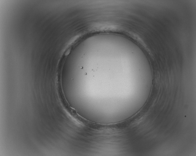 X0000067530629200604211844