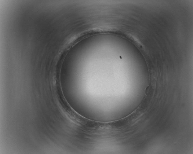 X0000067530631200604211844