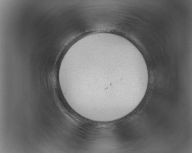 X0000067530632200604211844