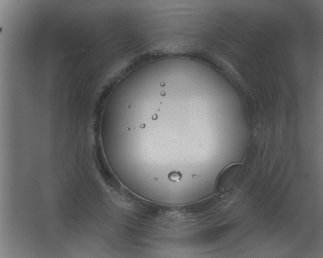 X0000067530635200604211844