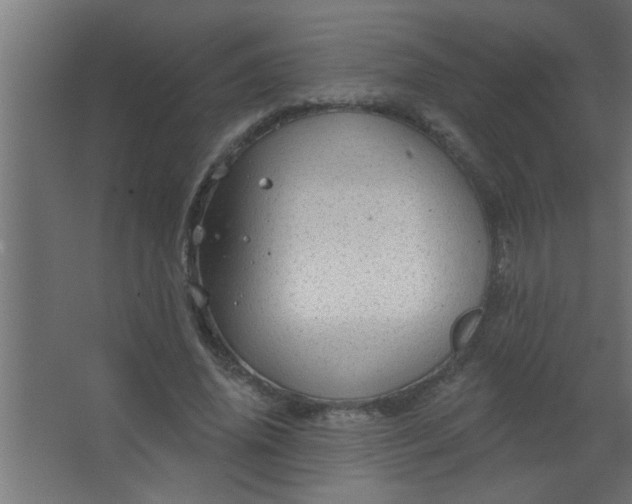 X0000067530636200604211844