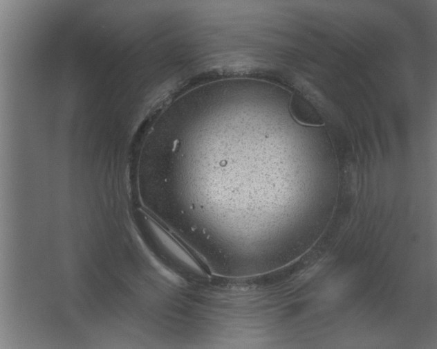 X0000067530638200604211844