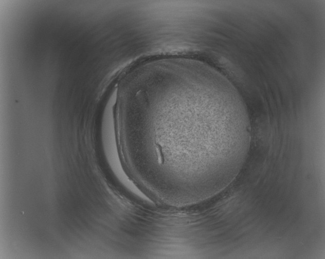 X0000067530640200604211844