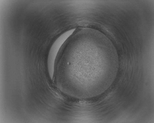 X0000067530641200604211844