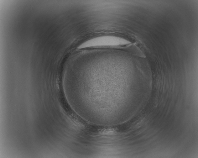 X0000067530643200604211844