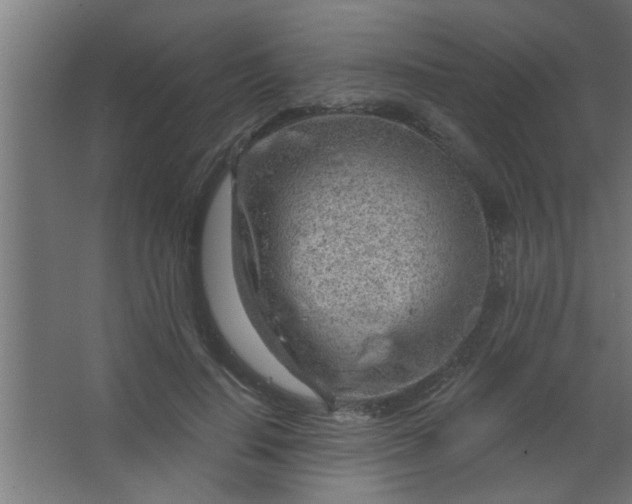 X0000067530644200604211845