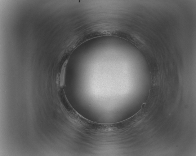 X0000067530646200604211845