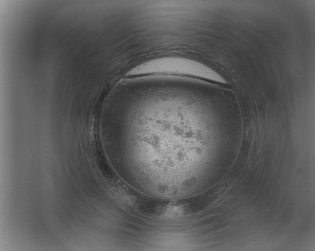 X0000067530647200604211845