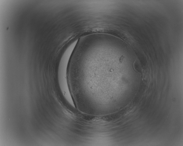 X0000067530648200604211845