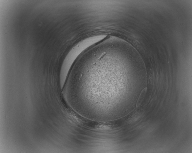 X0000067530649200604211845