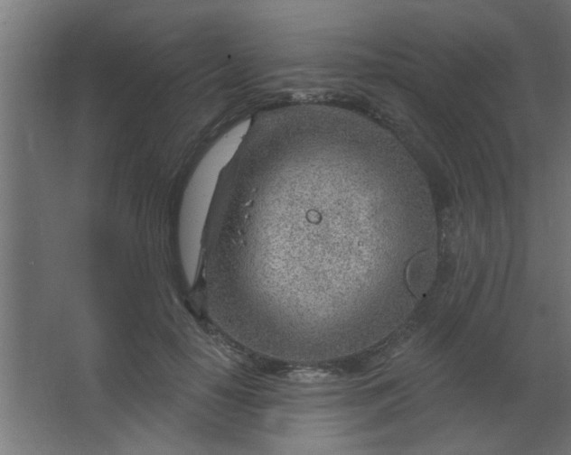 X0000067530650200604211845