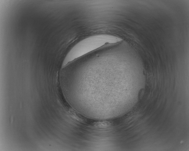 X0000067530652200604211845