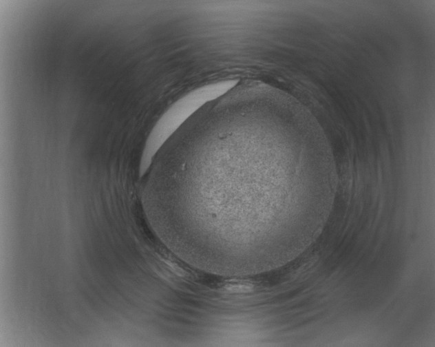 X0000067530653200604211845