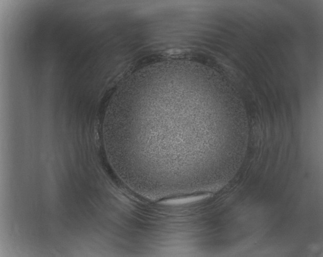 X0000067530654200604211845