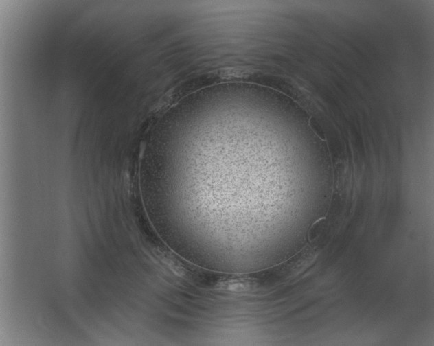 X0000067530655200604211845