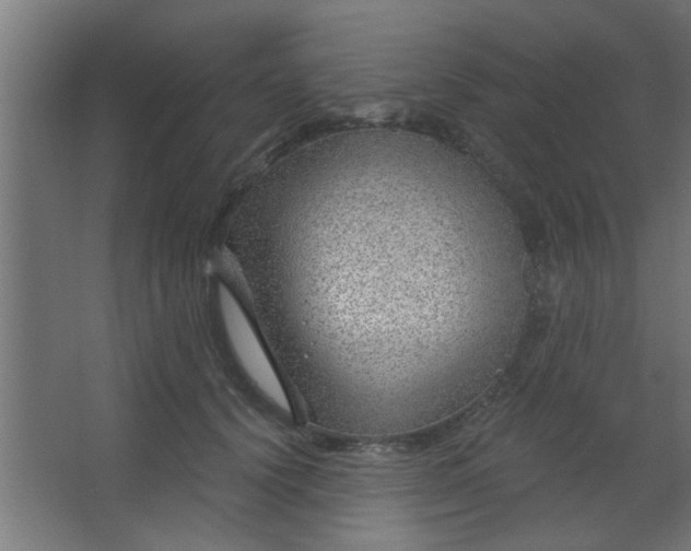 X0000067530656200604211845