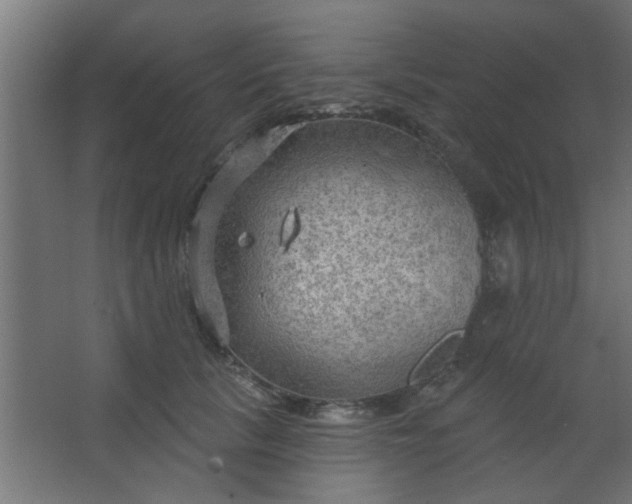 X0000067530657200604211845