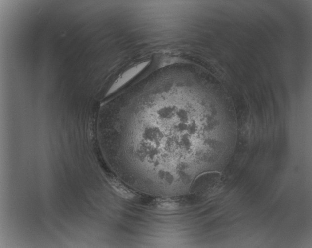 X0000067530658200604211845